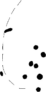 PIND/single/0006/77