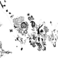 PIND/single/0006/87