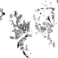 PIND/single/0006/88