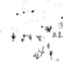 PIND/single/0006/113