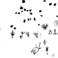 PIND/single/0006/114