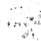 PIND/single/0006/115