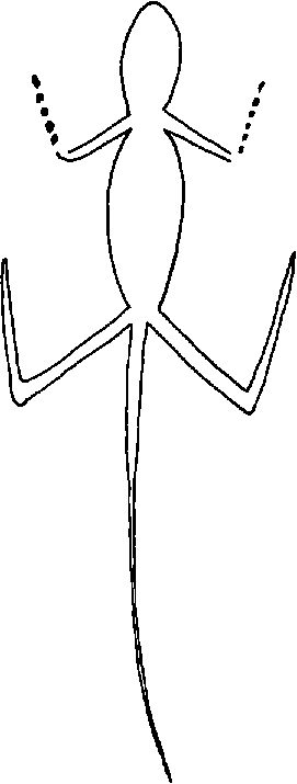 PIND/single/0006/124