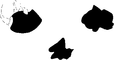 PIND/single/0006/131