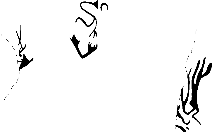 PIND/single/0006/141