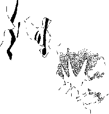 PIND/single/0006/158