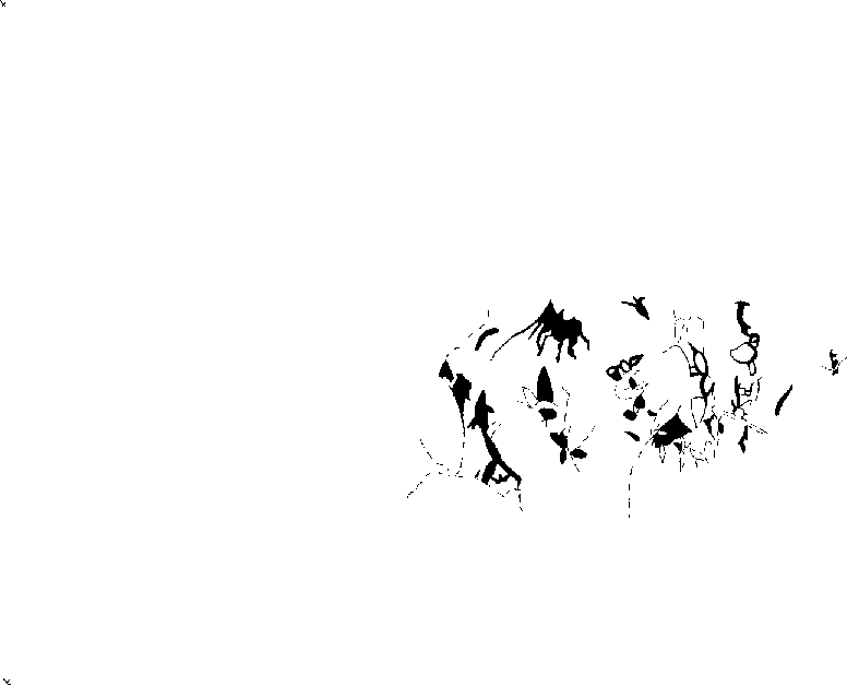 PIND/single/0006/165