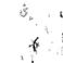 PIND/single/0006/207