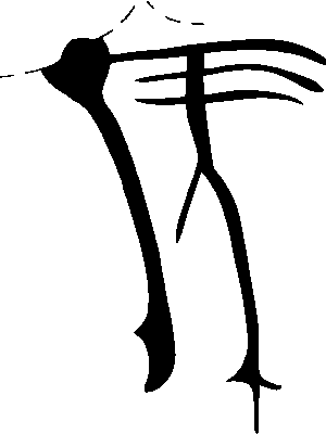 PIND/single/1262/0
