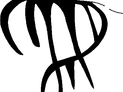 PIND/single/1582/0