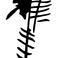 PIND/single/4201/0