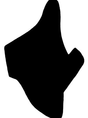 PIND/single/4531/0